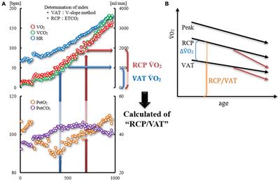 The Ratio of Oxygen Uptake From Ventilatory Anaerobic Threshold to Respiratory Compensation Point Is Maintained During Incremental Exercise in Older Adults